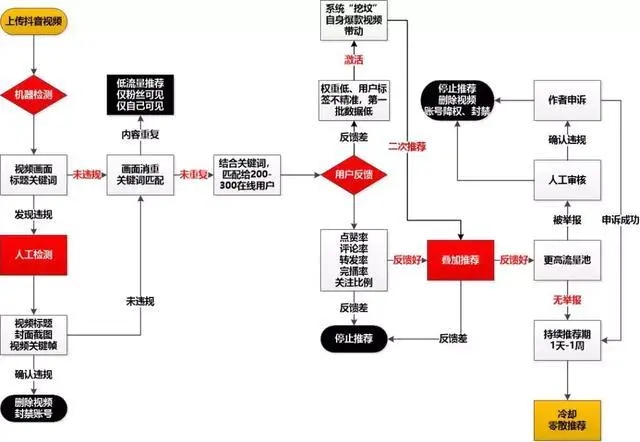 抖音号初期怎么运营起来的？