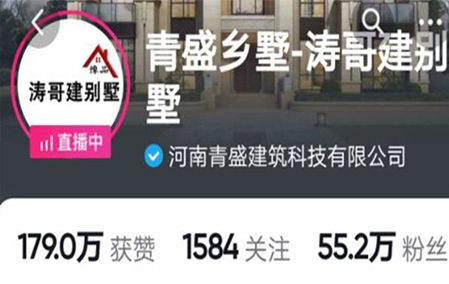 青盛乡墅-涛哥帮建别墅